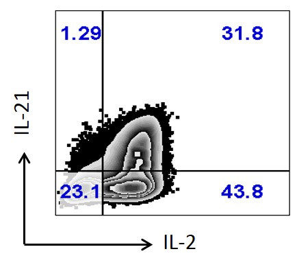 IL-2 Antibody in Flow Cytometry (Flow)