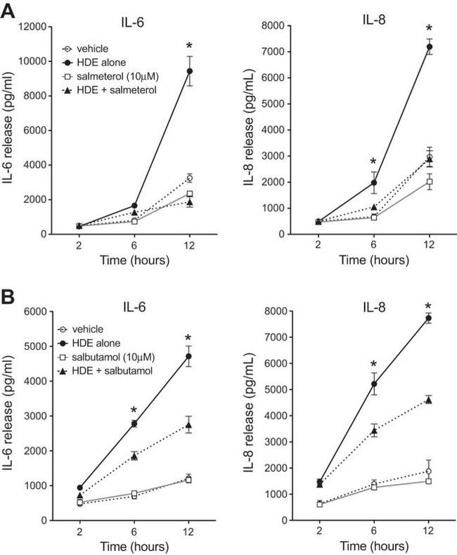 IL-6 Antibody in ELISA (ELISA)