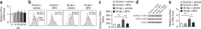 CD215 (IL-15Ra) Antibody in Flow Cytometry (Flow)