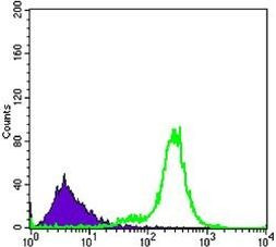 IL-34 Antibody in Flow Cytometry (Flow)