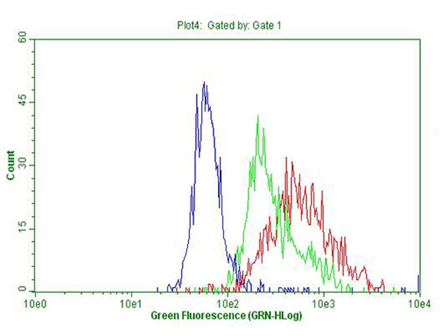 IQGAP1 Antibody in Flow Cytometry (Flow)