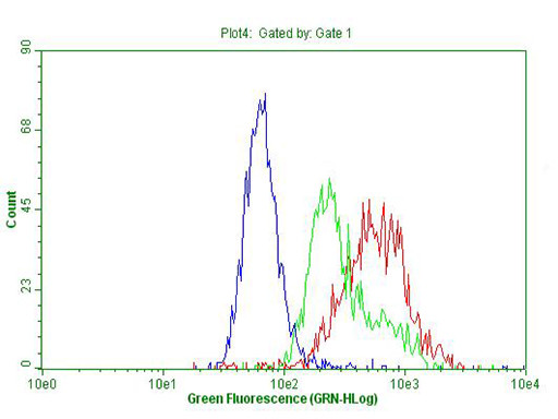 IQGAP1 Antibody in Flow Cytometry (Flow)