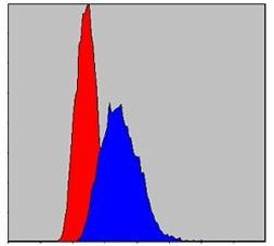 IRAK4 Antibody in Flow Cytometry (Flow)