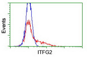 ITFG2 Antibody in Flow Cytometry (Flow)