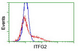 ITFG2 Antibody in Flow Cytometry (Flow)