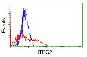 ITFG2 Antibody in Flow Cytometry (Flow)