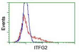ITFG2 Antibody in Flow Cytometry (Flow)