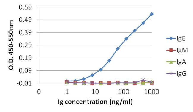 Human IgE Secondary Antibody in ELISA (ELISA)