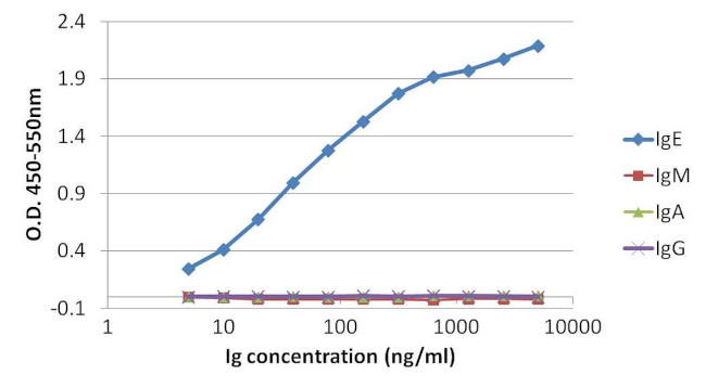 Human IgE Secondary Antibody in ELISA (ELISA)