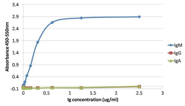 Human IgM Secondary Antibody in ELISA (ELISA)