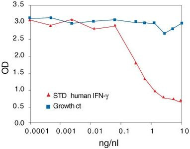 Human IFN gamma ELISA Kit