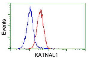 KATNAL1 Antibody in Flow Cytometry (Flow)