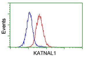 KATNAL1 Antibody in Flow Cytometry (Flow)