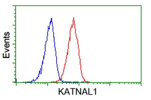 KATNAL1 Antibody in Flow Cytometry (Flow)