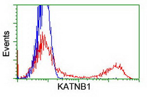 KATNB1 Antibody in Flow Cytometry (Flow)