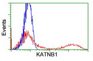 KATNB1 Antibody in Flow Cytometry (Flow)