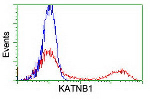 KATNB1 Antibody in Flow Cytometry (Flow)