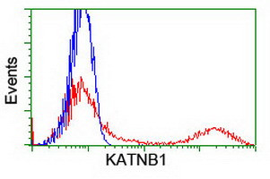 KATNB1 Antibody in Flow Cytometry (Flow)