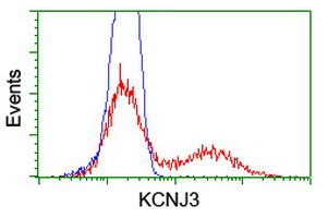 KCNJ3 Antibody in Flow Cytometry (Flow)