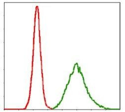 KCNQ1 Antibody in Flow Cytometry (Flow)