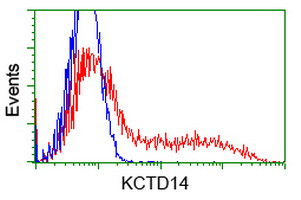 KCTD14 Antibody in Flow Cytometry (Flow)