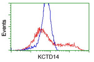 KCTD14 Antibody in Flow Cytometry (Flow)