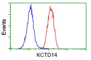 KCTD14 Antibody in Flow Cytometry (Flow)