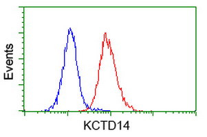 KCTD14 Antibody in Flow Cytometry (Flow)