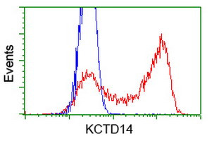 KCTD14 Antibody in Flow Cytometry (Flow)