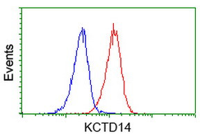 KCTD14 Antibody in Flow Cytometry (Flow)