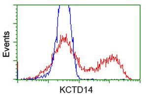 KCTD14 Antibody in Flow Cytometry (Flow)