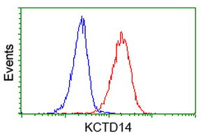 KCTD14 Antibody in Flow Cytometry (Flow)