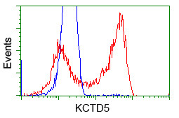 KCTD5 Antibody in Flow Cytometry (Flow)