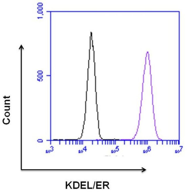 KDEL Antibody in Flow Cytometry (Flow)