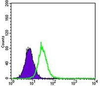 KEAP1 Antibody in Flow Cytometry (Flow)