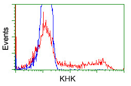 KHK Antibody in Flow Cytometry (Flow)