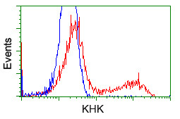 KHK Antibody in Flow Cytometry (Flow)