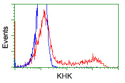 KHK Antibody in Flow Cytometry (Flow)