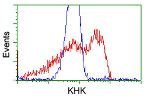 KHK Antibody in Flow Cytometry (Flow)