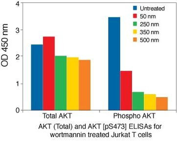 Human AKT (Phospho) [pS473] ELISA Kit