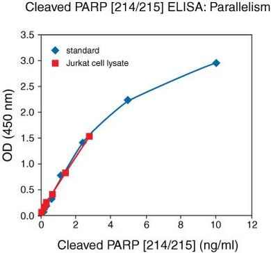 Human PARP (Cleaved) [214/215] ELISA Kit