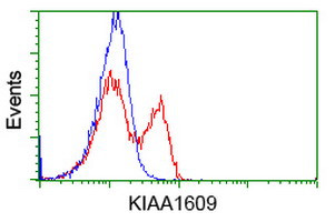 KIAA1609 Antibody in Flow Cytometry (Flow)