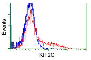 KIF2C Antibody in Flow Cytometry (Flow)