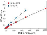 Rat IL-12 p70 ELISA Kit