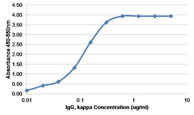 Human Kappa Light Chain Secondary Antibody in ELISA (ELISA)