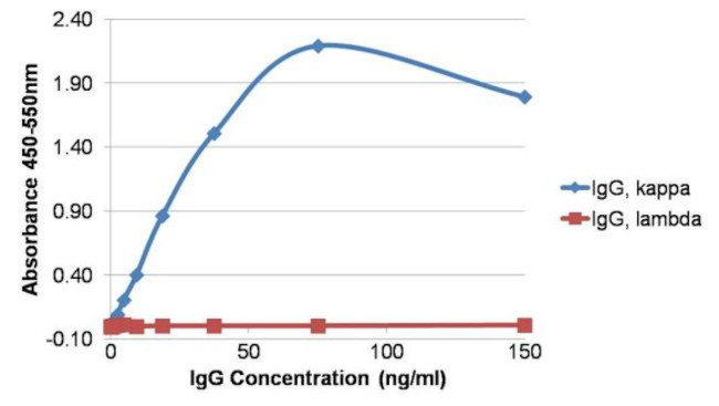 Human Kappa Light Chain Secondary Antibody in ELISA (ELISA)