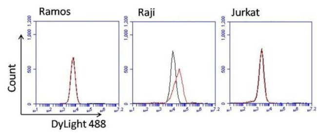 Human Kappa Light Chain Secondary Antibody in Flow Cytometry (Flow)