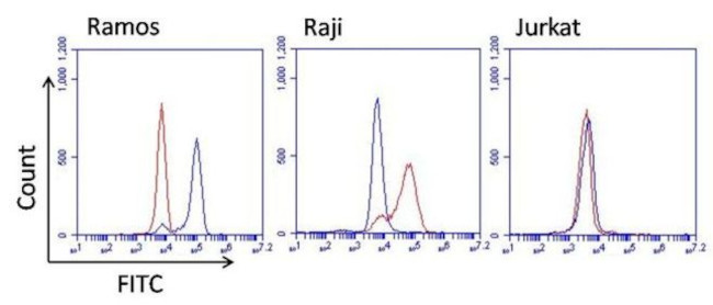 Human Kappa Light Chain Secondary Antibody in Flow Cytometry (Flow)