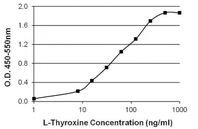 L-Thyroxine T4 Antibody in ELISA (ELISA)