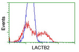 LACTB2 Antibody in Flow Cytometry (Flow)